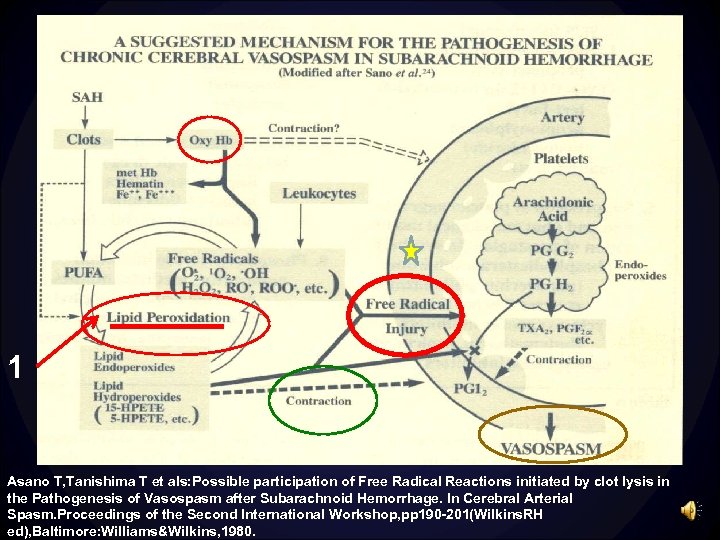 1 Asano T, Tanishima T et als: Possible participation of Free Radical Reactions initiated