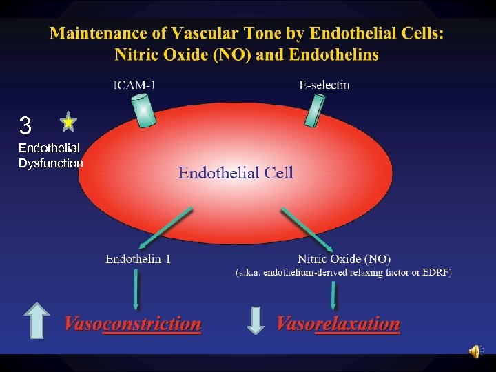 3 Endothelial Dysfunction 