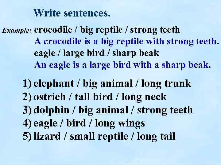 Write sentences. Example: crocodile / big reptile / strong teeth A crocodile is a