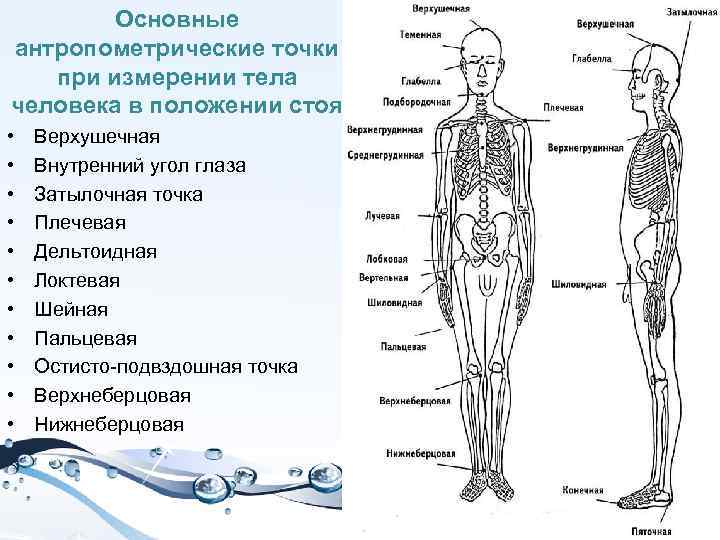 Характеристика человека карта смерть