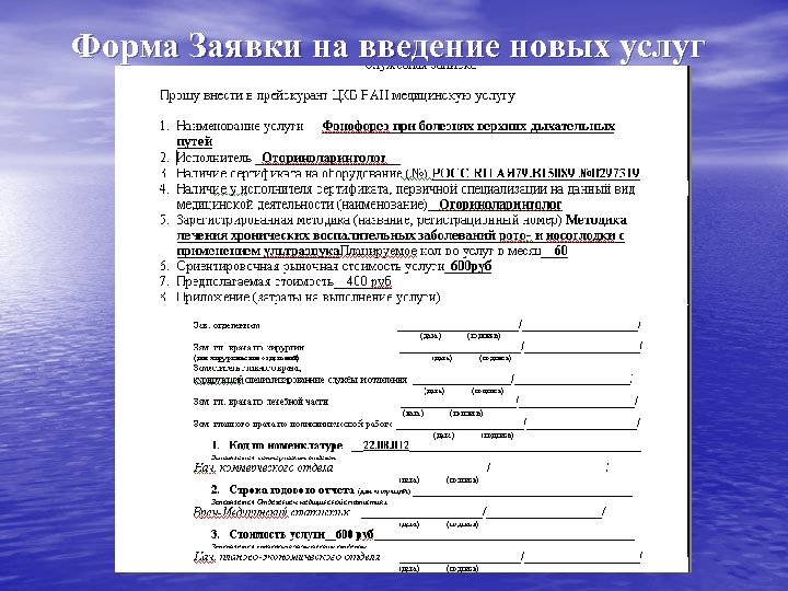 Форма Заявки на введение новых услуг 