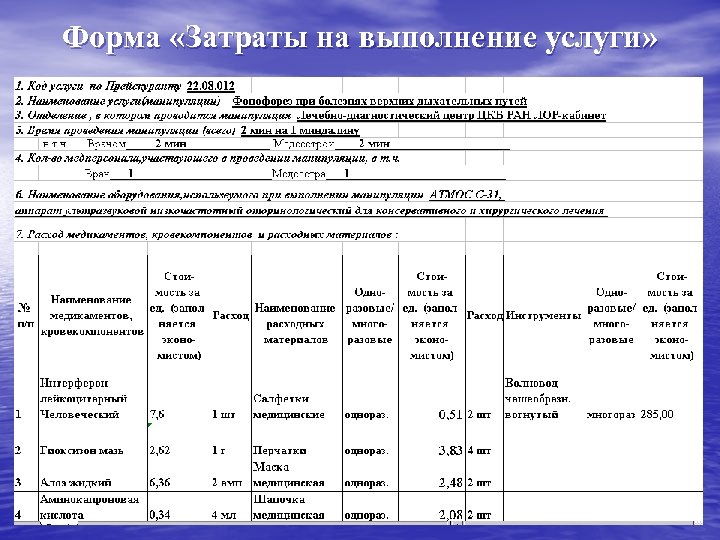 Форма «Затраты на выполнение услуги» 