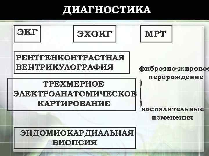 ДИАГНОСТИКА ЭКГ ЭХОКГ РЕНТГЕНКОНТРАСТНАЯ ВЕНТРИКУЛОГРАФИЯ ТРЕХМЕРНОЕ ЭЛЕКТРОАНАТОМИЧЕСКОЕ КАРТИРОВАНИЕ ЭНДОМИОКАРДИАЛЬНАЯ БИОПСИЯ МРТ фиброзно-жировое перерождение воспалительные