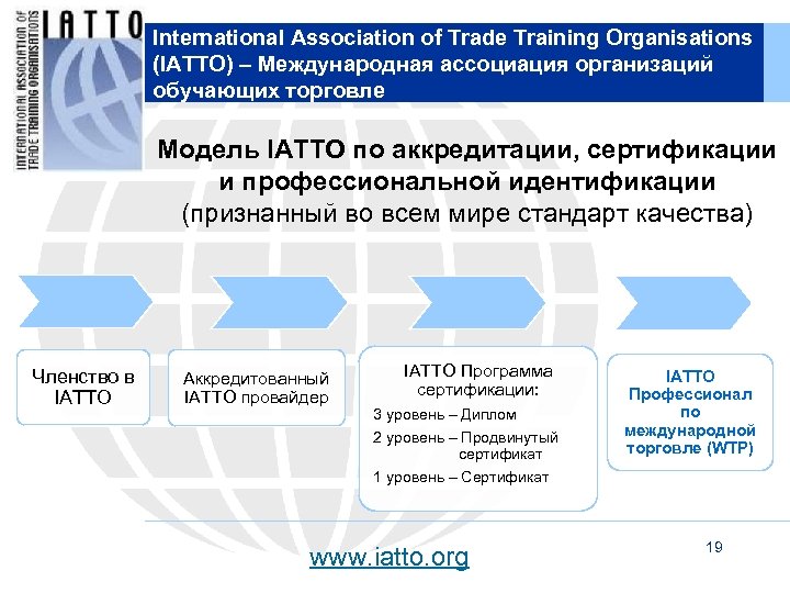 International Association of Trade Training Organisations (IATTO) – Международная ассоциация организаций обучающих торговле Модель