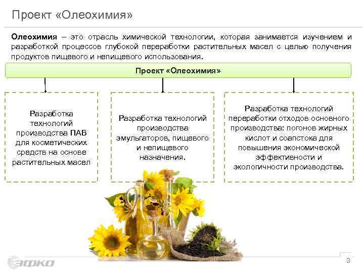 Проект «Олеохимия» Олеохимия – это отрасль химической технологии, которая занимается изучением и разработкой процессов