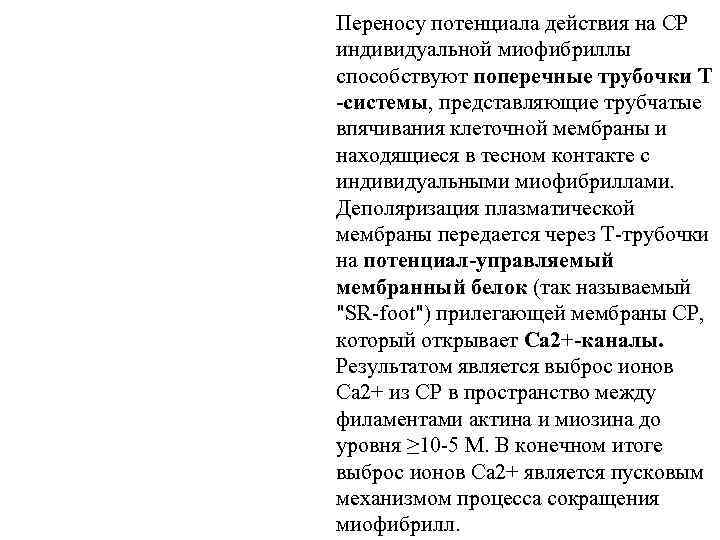 Переносу потенциала действия на СР индивидуальной миофибриллы способствуют поперечные трубочки Т -системы, представляющие трубчатые