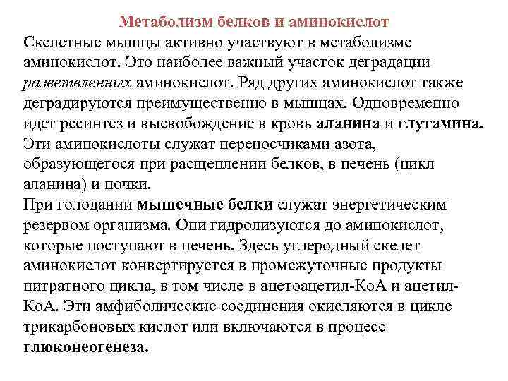 Метаболизм белков и аминокислот Скелетные мышцы активно участвуют в метаболизме аминокислот. Это наиболее важный