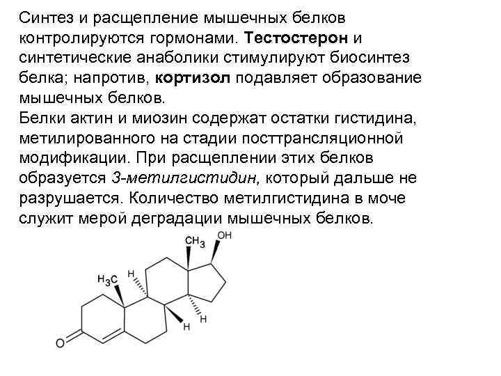 Эстрадиол на курсе тестостерона