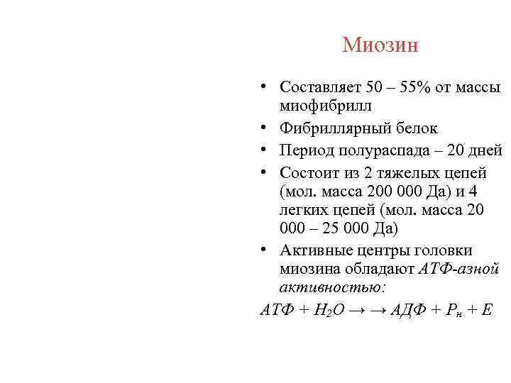 Миозин • Составляет 50 – 55% от массы миофибрилл • Фибриллярный белок • Период