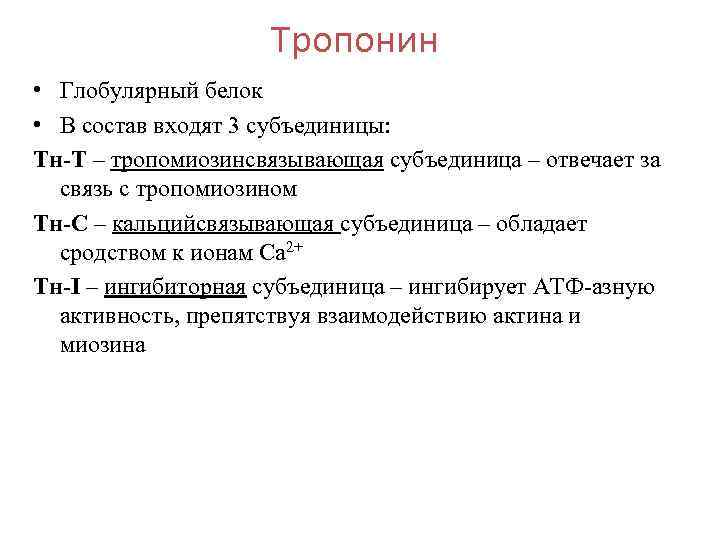 Тропонин • Глобулярный белок • В состав входят 3 субъединицы: Тн-Т – тропомиозинсвязывающая субъединица