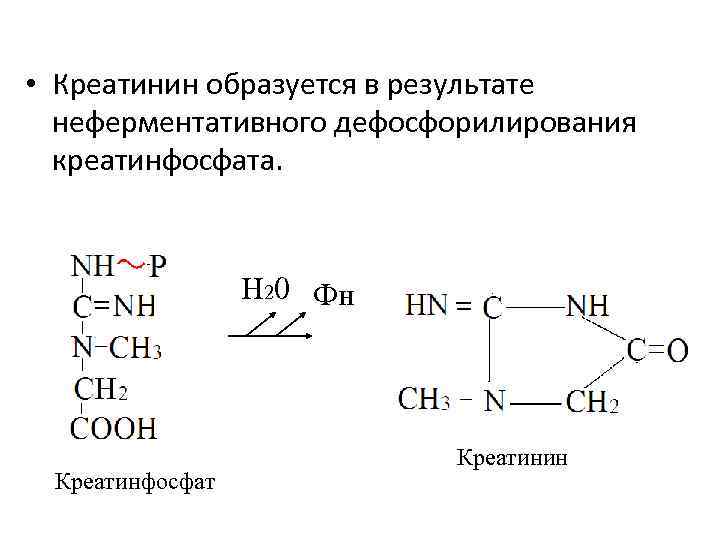  • Креатинин образуется в результате неферментативного дефосфорилирования креатинфосфата. Н 20 Фн Креатинфосфат Креатинин