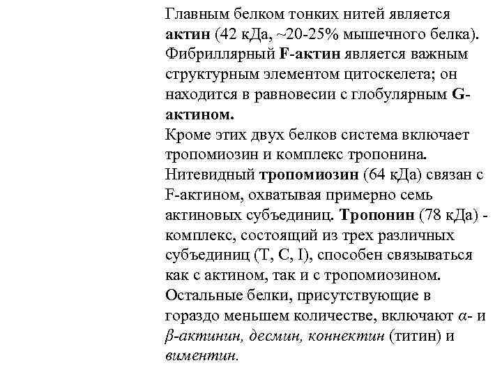 Главным белком тонких нитей является актин (42 к. Да, ~20 -25% мышечного белка). Фибриллярный