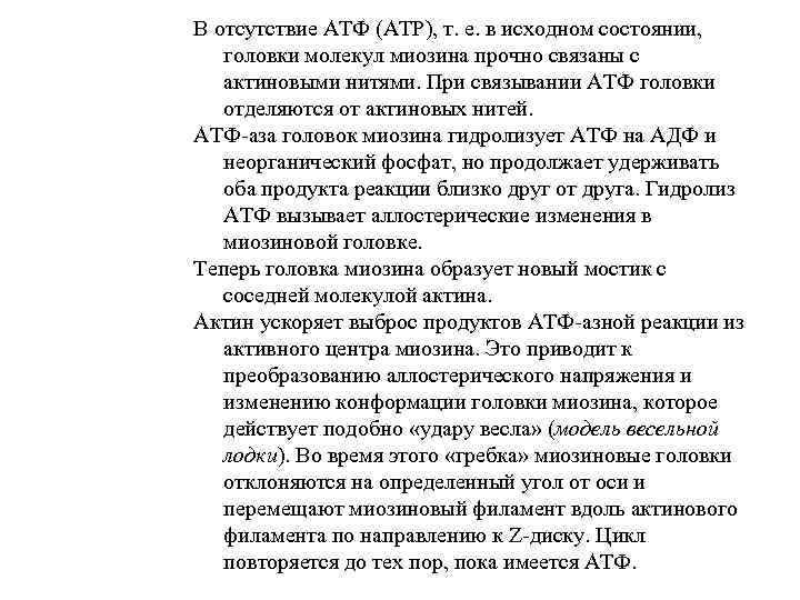 В отсутствие АТФ (АТР), т. е. в исходном состоянии, головки молекул миозина прочно связаны