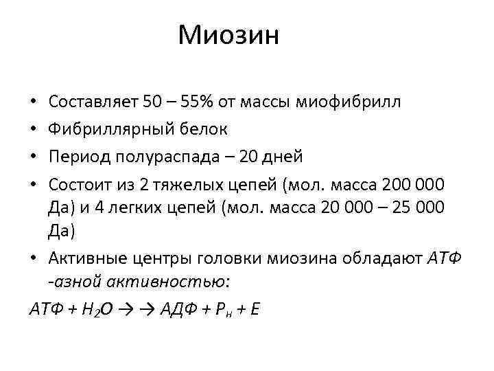 Миозин Составляет 50 – 55% от массы миофибрилл Фибриллярный белок Период полураспада – 20