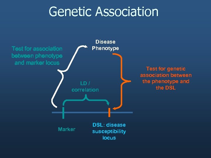 Genetic Association Disease Phenotype Test for association between phenotype and marker locus LD /