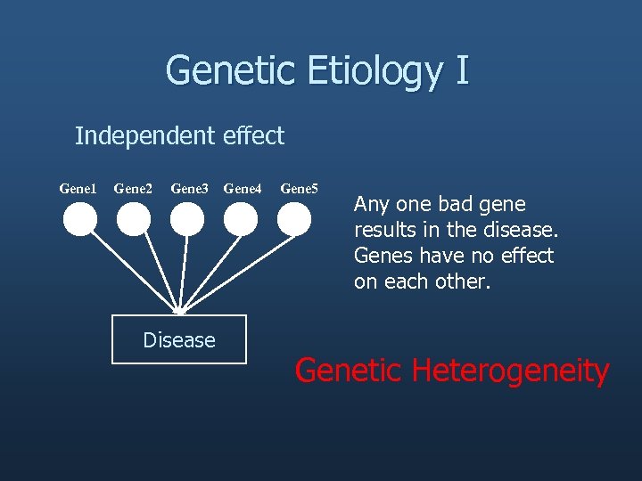 Genetic Etiology I Independent effect Gene 1 Gene 2 Gene 3 Disease Gene 4