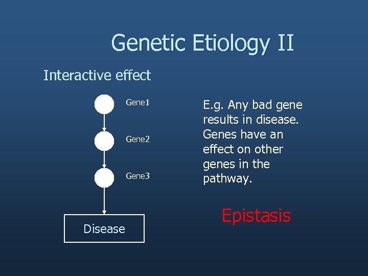 Genetic Etiology II Interactive effect Gene 1 Gene 2 Gene 3 Disease E. g.