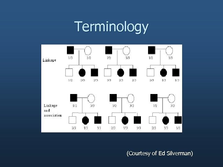 Terminology (Courtesy of Ed Silverman) 