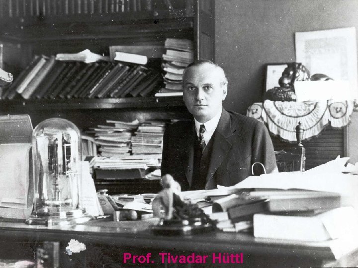 Prof. Tivadar Hüttl 