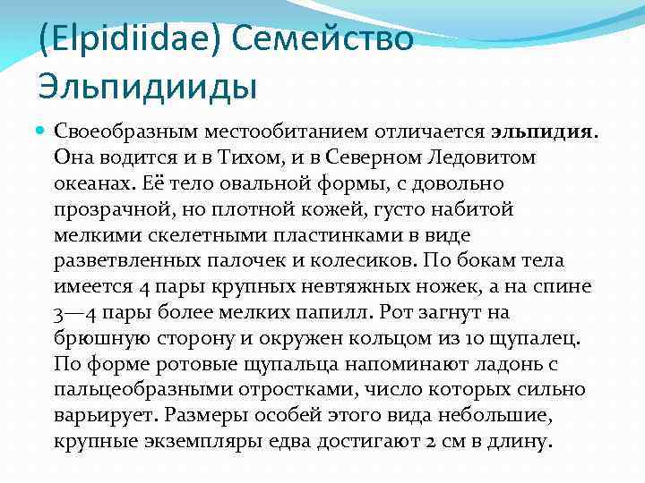 (Elpidiidae) Семейство Эльпидииды Своеобразным местообитанием отличается эльпидия. Она водится и в Тихом, и в
