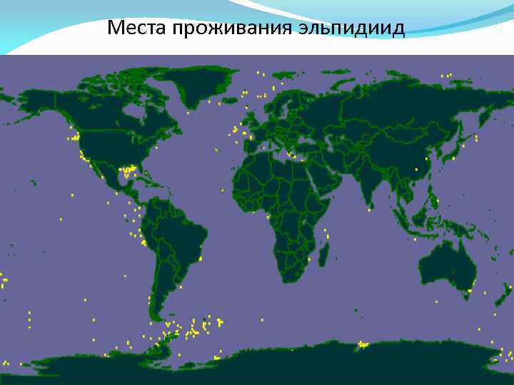 Места проживания эльпидиид 