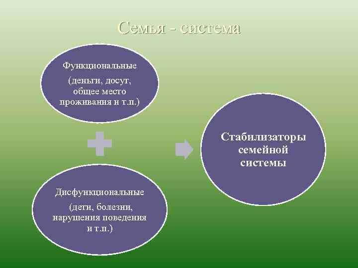 Семья система Функциональные (деньги, досуг, общее место проживания и т. п. ) Стабилизаторы семейной