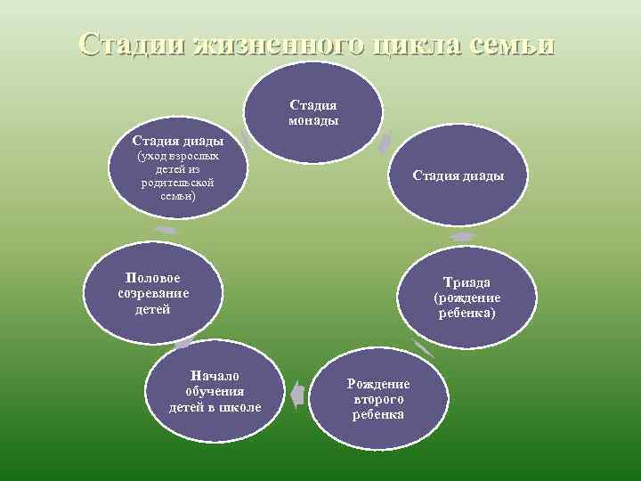 Стадии жизненного цикла семьи Стадия монады Стадия диады (уход взрослых детей из родительской семьи)