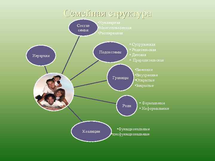 Семейная структура Состав семьи Иерархия • Нуклеарная • Многопоколенная • Расширенная Подсистемы • Супружеская