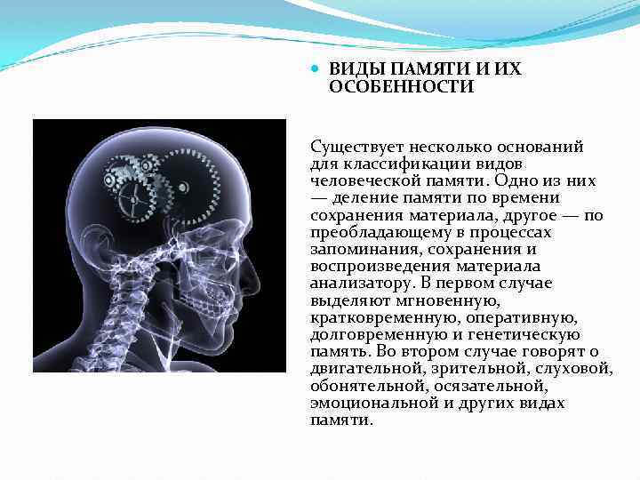 Вид памяти обеспечивающий оперативное удержание и преобразование информации