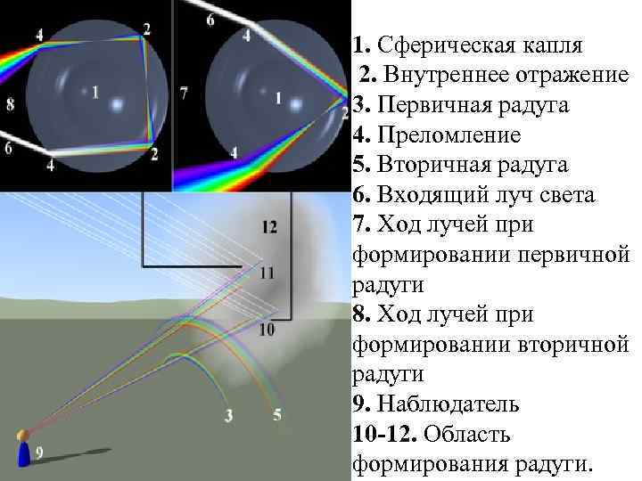 1. Сферическая капля 2. Внутреннее отражение 3. Первичная радуга 4. Преломление 5. Вторичная радуга