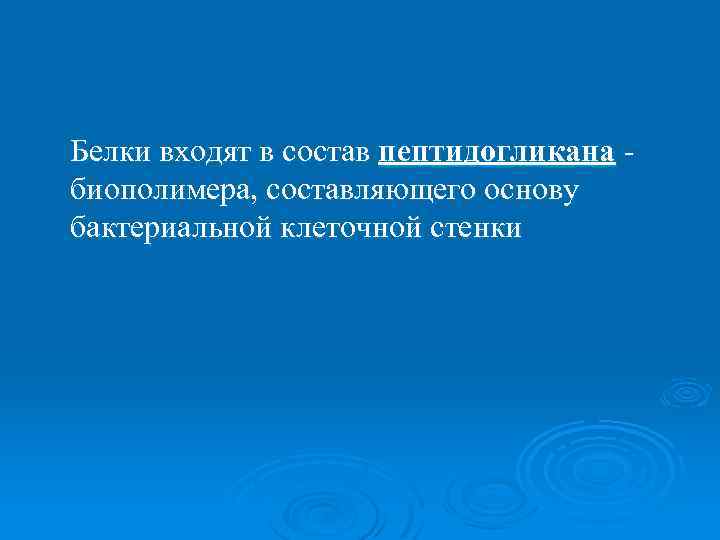 Белки входят в состав пептидогликана биополимера, составляющего основу бактериальной клеточной стенки 
