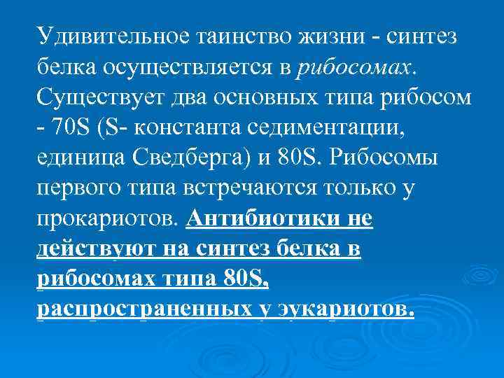 Удивительное таинство жизни - синтез белка осуществляется в рибосомах. Существует два основных типа рибосом