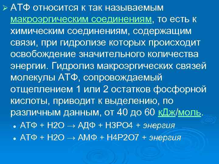 Ø АТФ относится к так называемым макроэргическим соединениям, то есть к химическим соединениям, содержащим