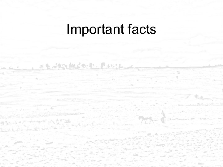 Important facts 