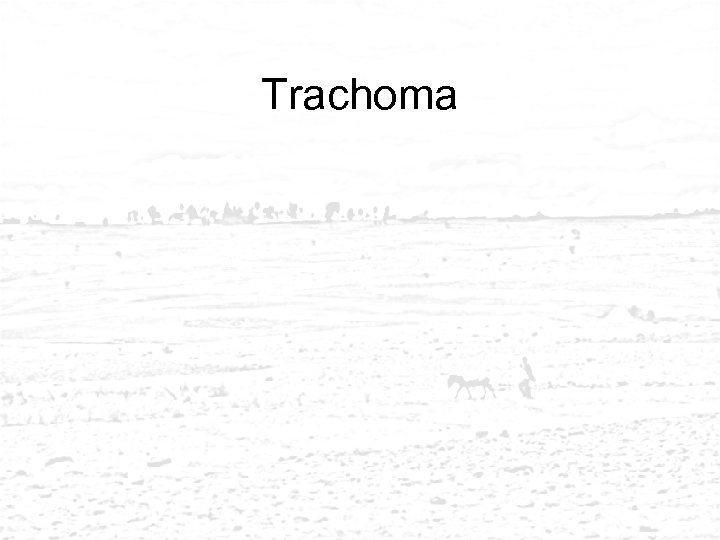 Trachoma 