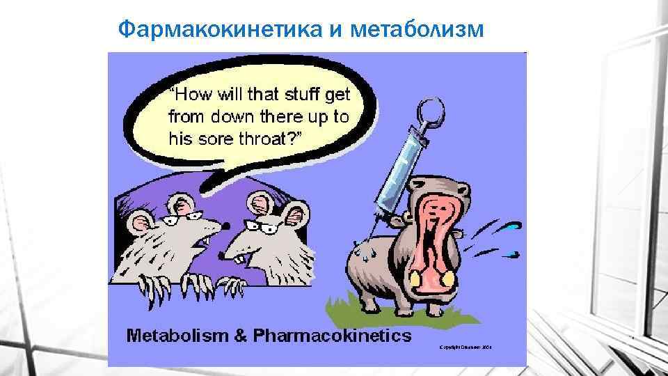 Фармакокинетика и метаболизм 