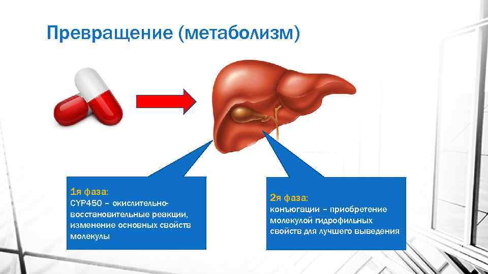 Превращение (метаболизм) 1 я фаза: CYP 450 – окислительновосстановительные реакции, изменение основных свойств молекулы
