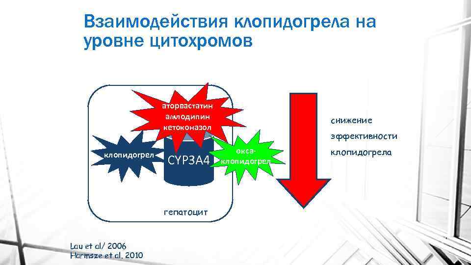 Взаимодействия клопидогрела на уровне цитохромов аторвастатин амлодипин кетоконазол клопидогрел CYP 3 A 4 гепатоцит