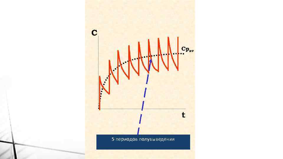 5 периодов полувыведения 