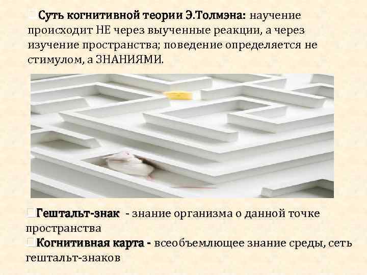  Суть когнитивной теории Э. Толмэна: научение происходит НЕ через выученные реакции, а через