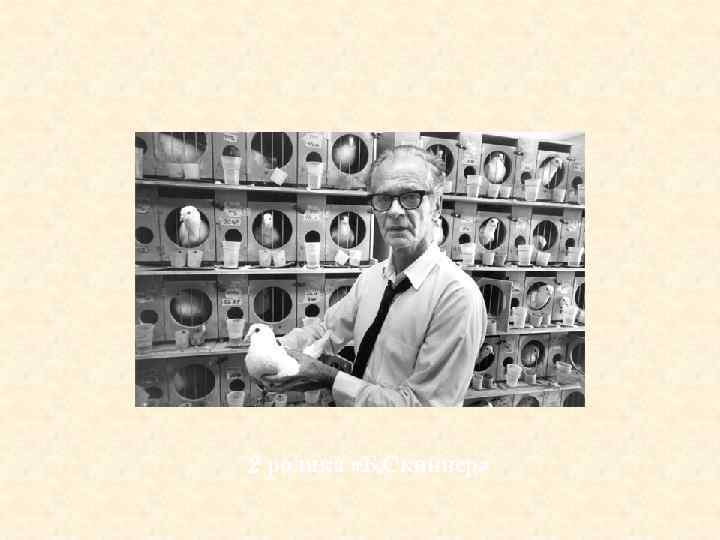 2 ролика «Б. Скиннер» 