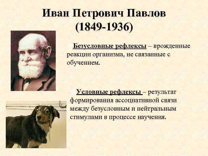 Иван Петрович Павлов (1849 -1936) Безусловные рефлексы – врожденные реакции организма, не связанные с