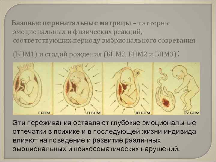 Базовые перинатальные матрицы – паттерны эмоциональных и физических реакций, соответствующих периоду эмбрионального созревания (БПМ