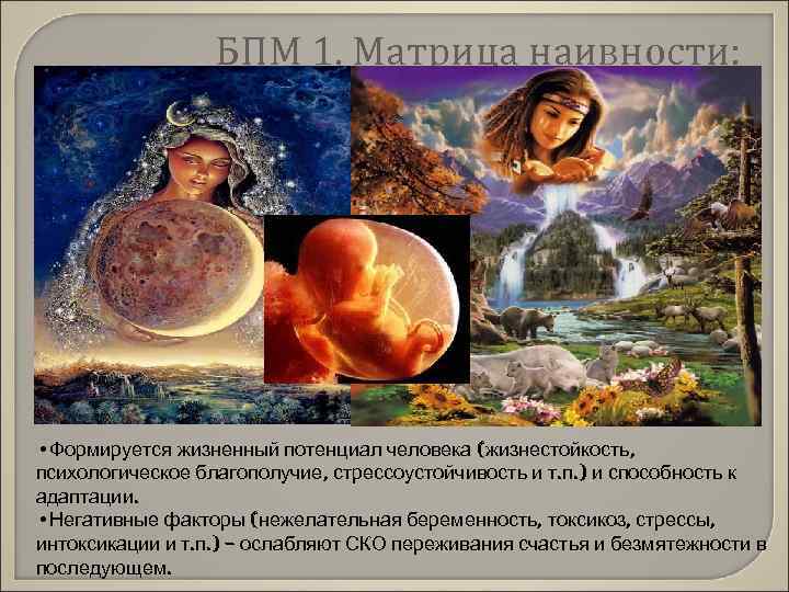 БПМ 1. Матрица наивности: • Формируется жизненный потенциал человека (жизнестойкость, психологическое благополучие, стрессоустойчивость и