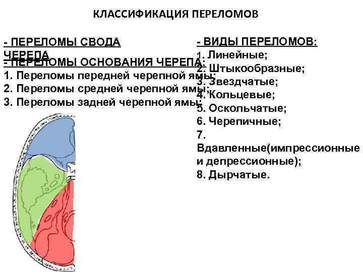 КЛАССИФИКАЦИЯ ПЕРЕЛОМОВ - ВИДЫ ПЕРЕЛОМОВ: - ПЕРЕЛОМЫ СВОДА 1. Линейные; ЧЕРЕПА - ПЕРЕЛОМЫ ОСНОВАНИЯ