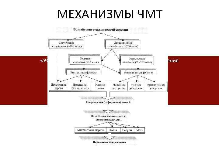 МЕХАНИЗМЫ ЧМТ «УСКОРЕНИЕ – ЗАМЕДЛЕНИЕ» - диффузные повреждения «УДАР – КОНТРУДАР» - очаговые (локальные)