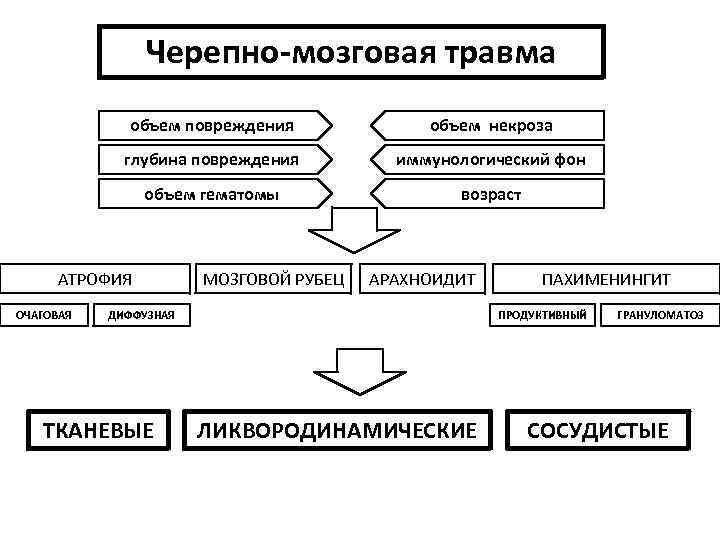 Черепно-мозговая травма объем повреждения объем некроза глубина повреждения иммунологический фон объем гематомы возраст АТРОФИЯ