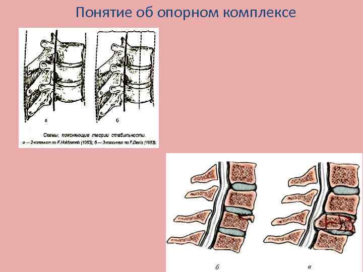 Понятие об опорном комплексе 