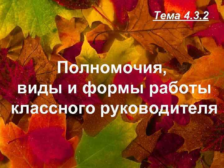 Тема 4. 3. 2 Полномочия, виды и формы работы классного руководителя 