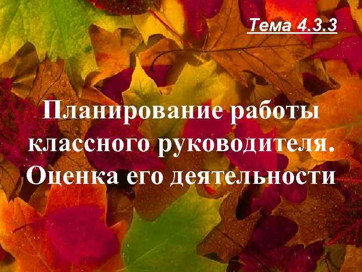 Тема 4. 3. 3 Планирование работы классного руководителя. Оценка его деятельности 